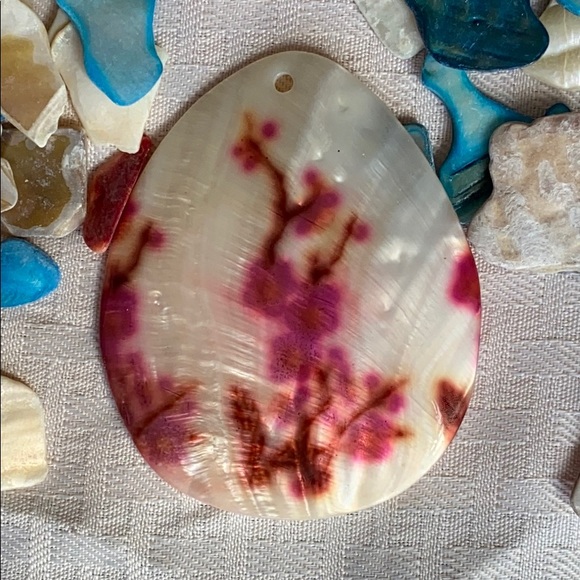 Shells - Picture 2 of 3